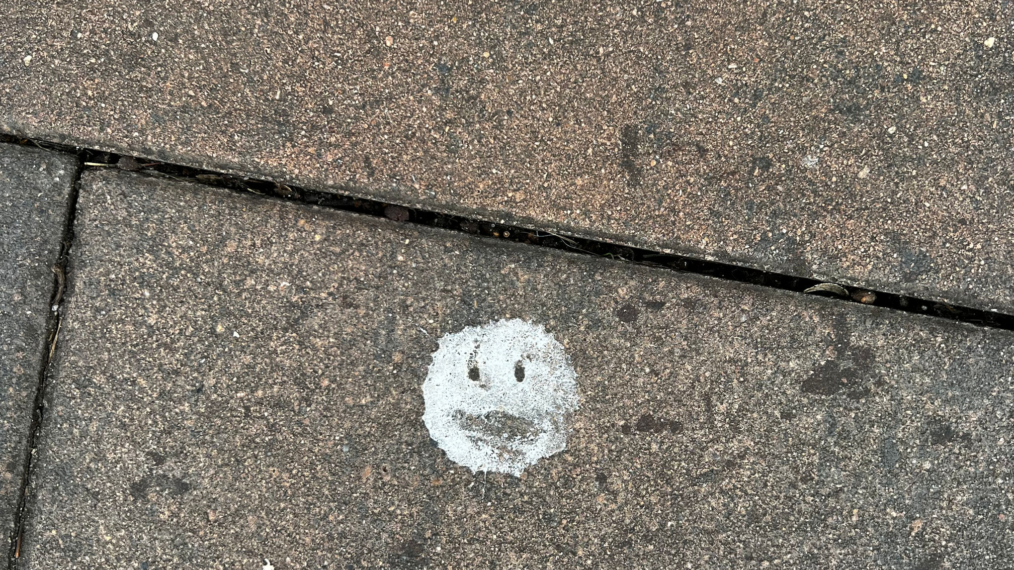 BIRD`S SMILE COLLECTION